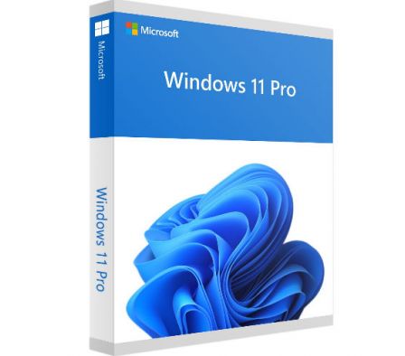 WINDOWS PRO 11 64-BIT ESD (ENTREGA 24 HORAS)